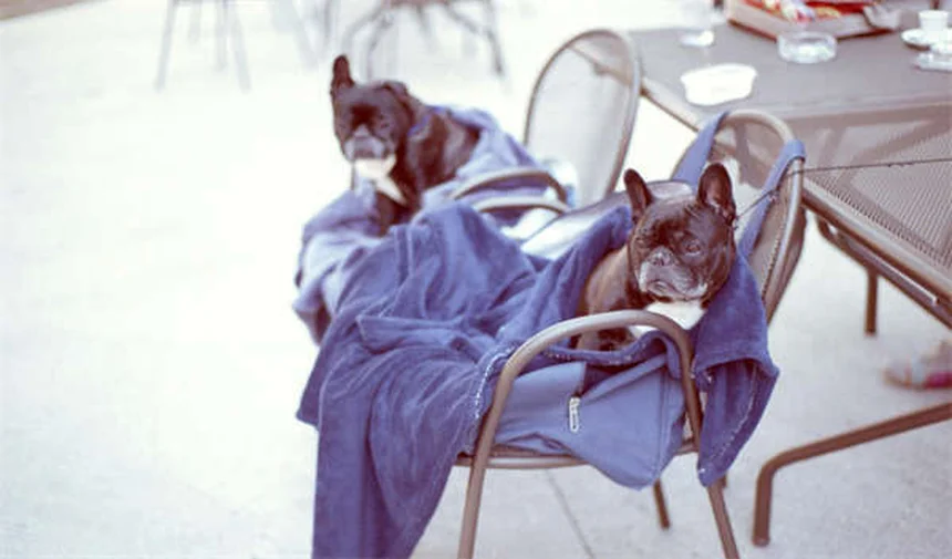 2026 Tesla Model S Updates: What's New & Worth the Hype?